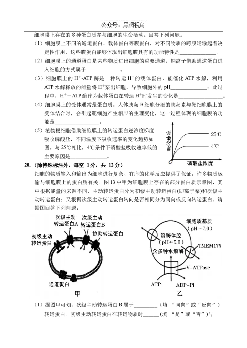 海南省文昌中学2024-2025学年高三上学期第二次月考试题生物Word版含解析_2024-2025高三（6-6月题库）_2024年10月试卷_1027海南省文昌中学2024-2025学年高三上学期第二次月考