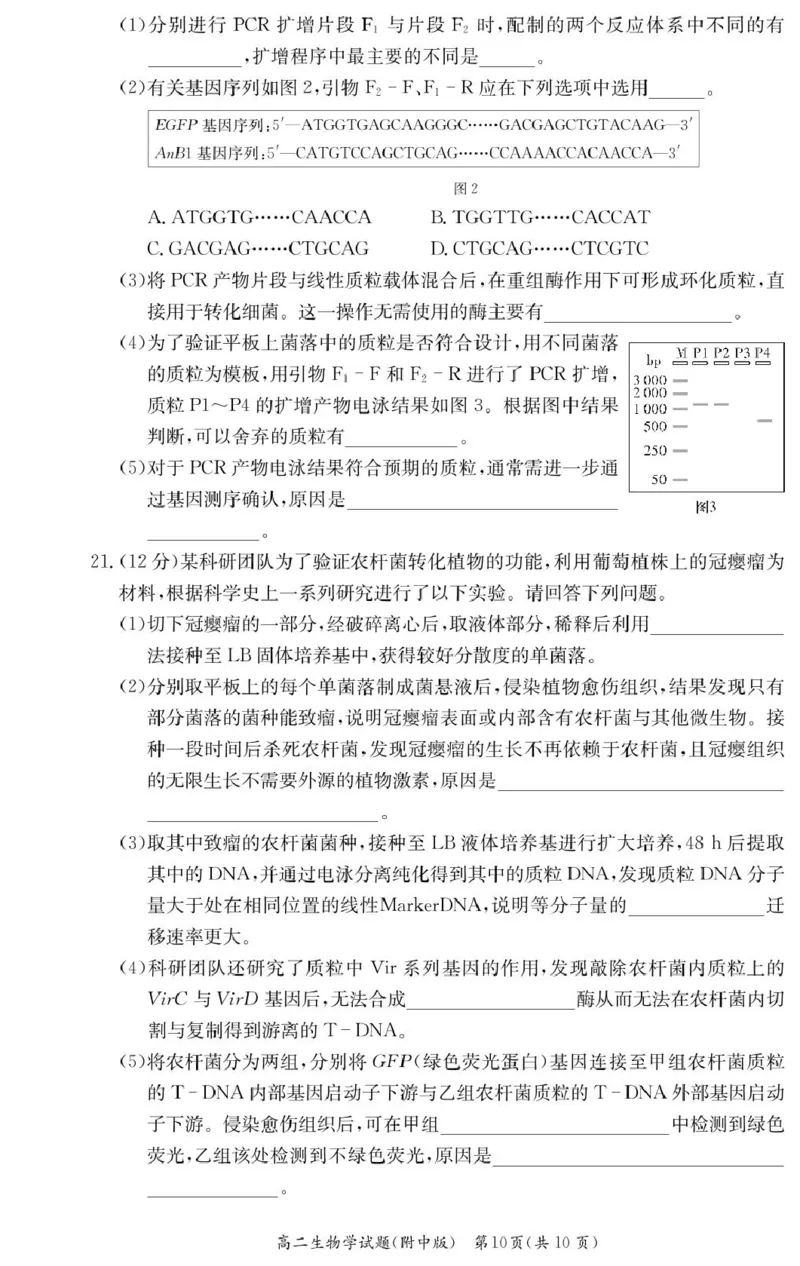 生物试卷（附中高二期中2期）_2024-2025高二（7-7月题库）_2025年05月试卷_0503湖南省长沙市湖南师大附中2024-2025学年高二下学期期中