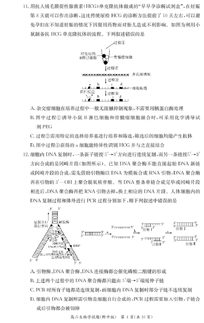 生物试卷（附中高二期中2期）_2024-2025高二（7-7月题库）_2025年05月试卷_0503湖南省长沙市湖南师大附中2024-2025学年高二下学期期中