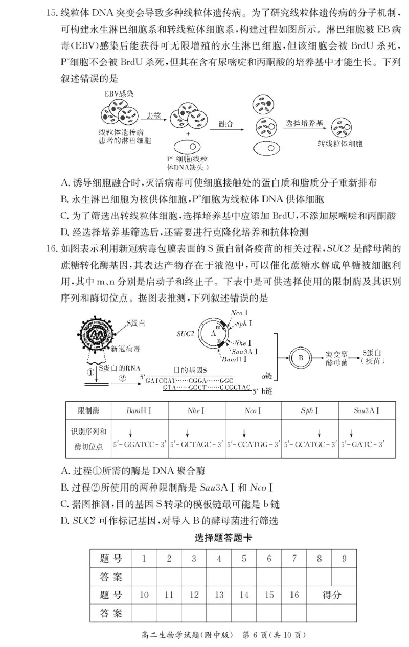 生物试卷（附中高二期中2期）_2024-2025高二（7-7月题库）_2025年05月试卷_0503湖南省长沙市湖南师大附中2024-2025学年高二下学期期中
