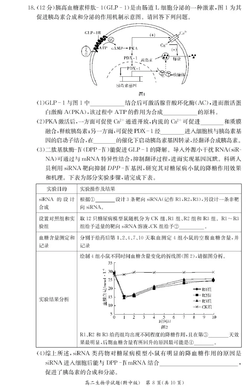 生物试卷（附中高二期中2期）_2024-2025高二（7-7月题库）_2025年05月试卷_0503湖南省长沙市湖南师大附中2024-2025学年高二下学期期中