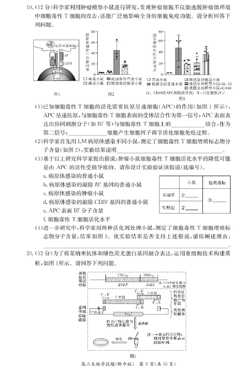 生物试卷（附中高二期中2期）_2024-2025高二（7-7月题库）_2025年05月试卷_0503湖南省长沙市湖南师大附中2024-2025学年高二下学期期中