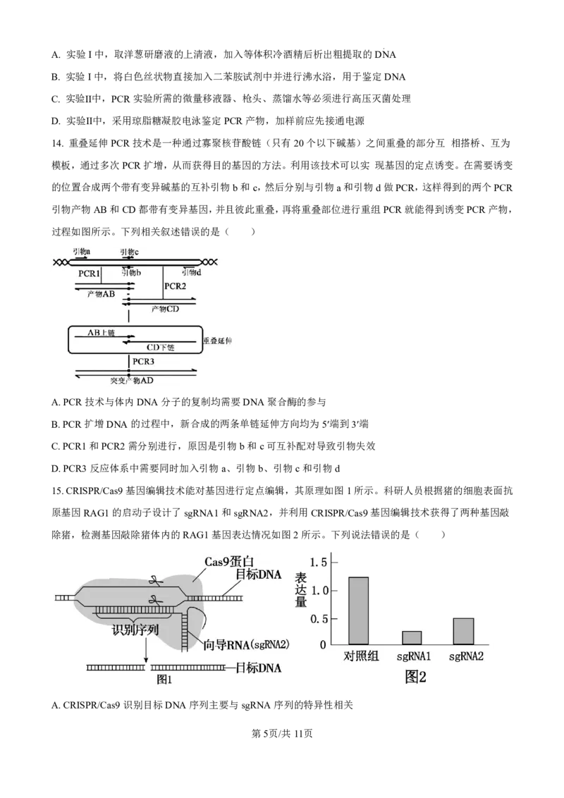 精品解析：山东省济南市第一中学2024-2025学年高三上学期10月月考生物试题（原卷版）_2024-2025高三（6-6月题库）_2024年11月试卷_1101山东省济南市第一中学2024-2025学年高三上学期10月月考