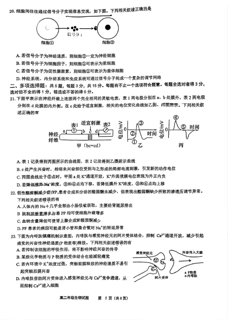 赣中高二生物_2025年10月高二试卷_251022江苏省连云港市赣榆高级中学2025-2026学年高二上学期10月学情检测