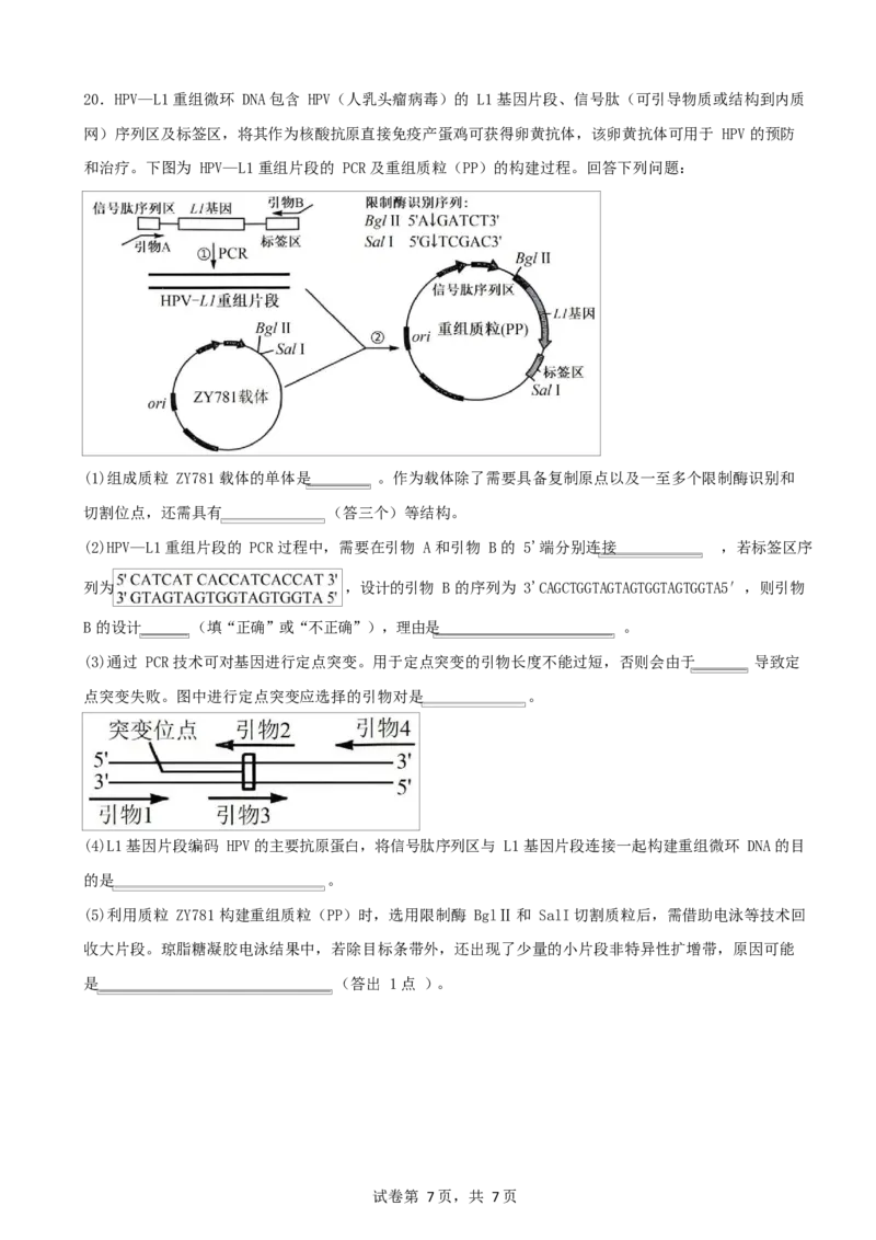 生物试卷_2024-2025高二（7-7月题库）_2025年6月试卷_0601四川省南充市嘉陵一中2024-2025学年高二下学期5月月考试题
