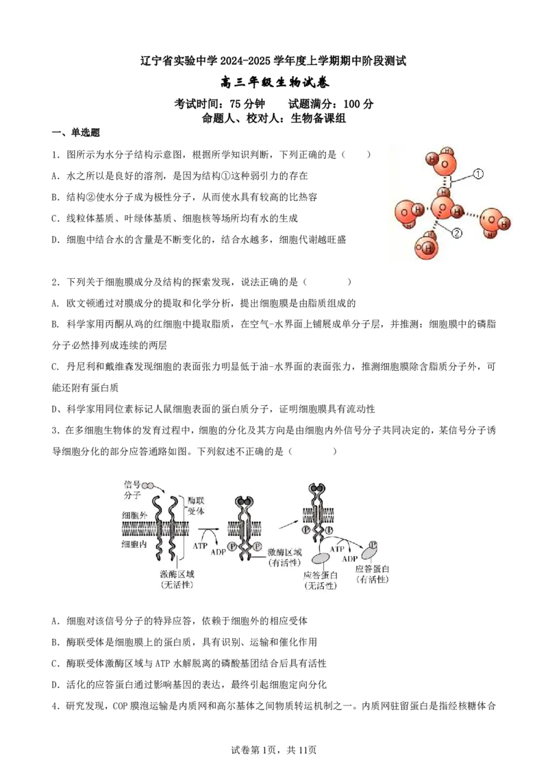 辽宁省实验中学2024-2025学年高三上学期期中考试生物试题_2024-2025高三（6-6月题库）_2024年11月试卷_1120辽宁省实验中学2024-2025学年高三上学期期中考试