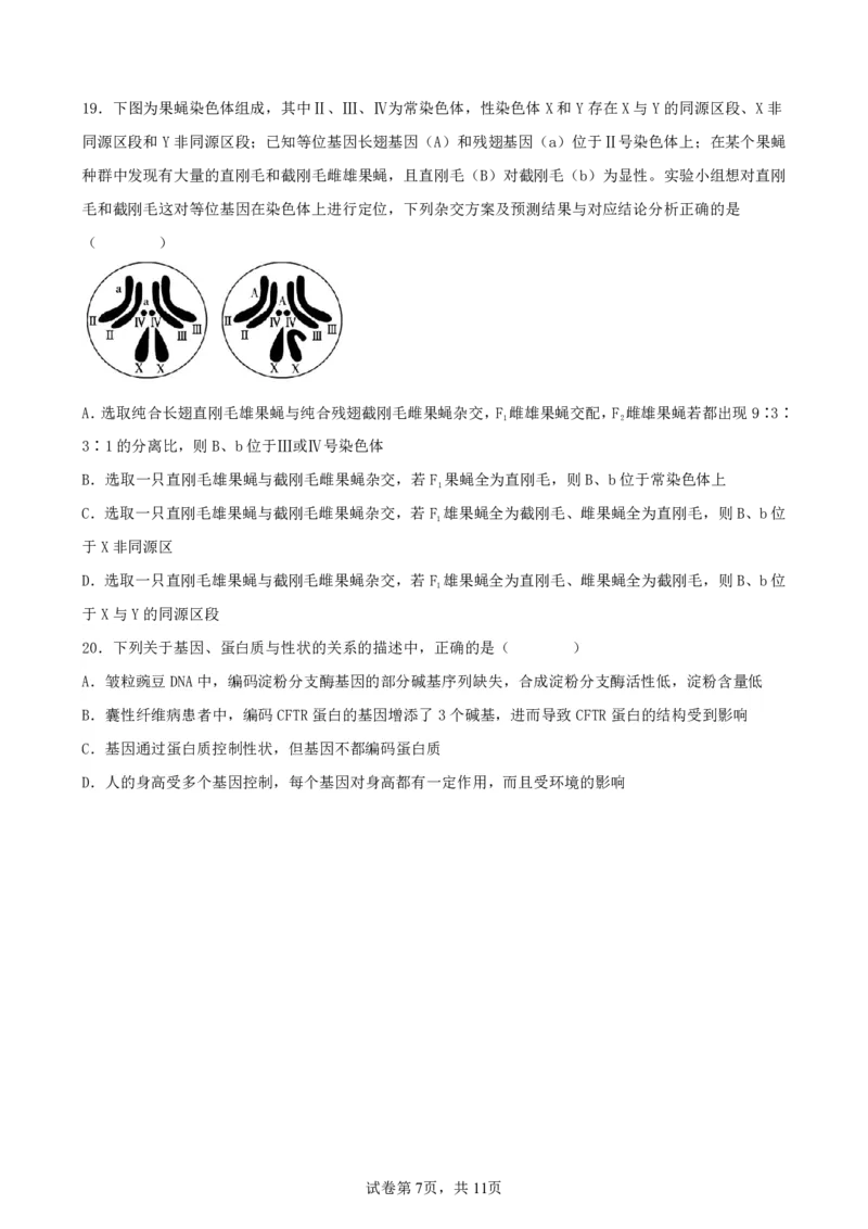 辽宁省实验中学2024-2025学年高三上学期期中考试生物试题_2024-2025高三（6-6月题库）_2024年11月试卷_1120辽宁省实验中学2024-2025学年高三上学期期中考试