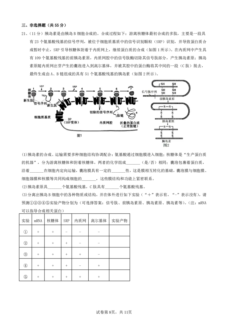 辽宁省实验中学2024-2025学年高三上学期期中考试生物试题_2024-2025高三（6-6月题库）_2024年11月试卷_1120辽宁省实验中学2024-2025学年高三上学期期中考试