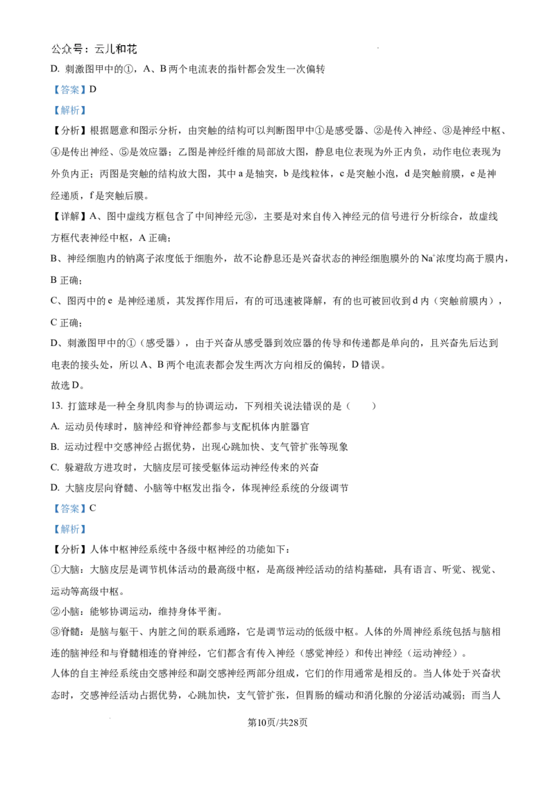 陕西省咸阳市秦都区咸阳市实验中学2024-2025学年高二上学期10月第一次月考生物试题（解析）_2024-2025高二（7-7月题库）_2024年10月试卷