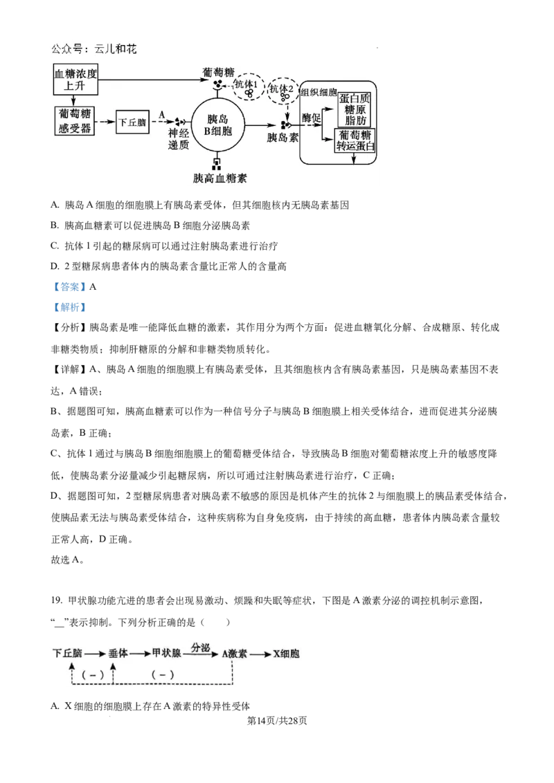 陕西省咸阳市秦都区咸阳市实验中学2024-2025学年高二上学期10月第一次月考生物试题（解析）_2024-2025高二（7-7月题库）_2024年10月试卷