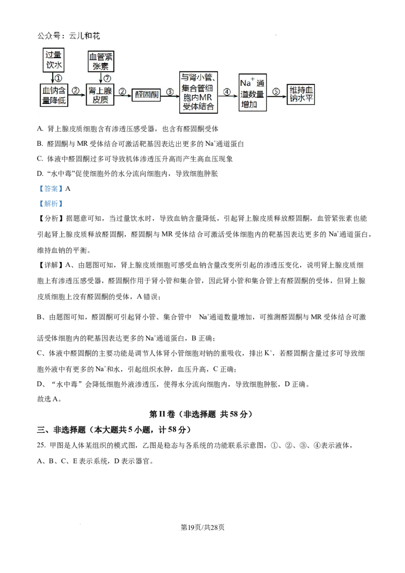 陕西省咸阳市秦都区咸阳市实验中学2024-2025学年高二上学期10月第一次月考生物试题（解析）_2024-2025高二（7-7月题库）_2024年10月试卷