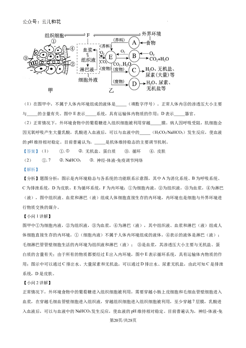 陕西省咸阳市秦都区咸阳市实验中学2024-2025学年高二上学期10月第一次月考生物试题（解析）_2024-2025高二（7-7月题库）_2024年10月试卷