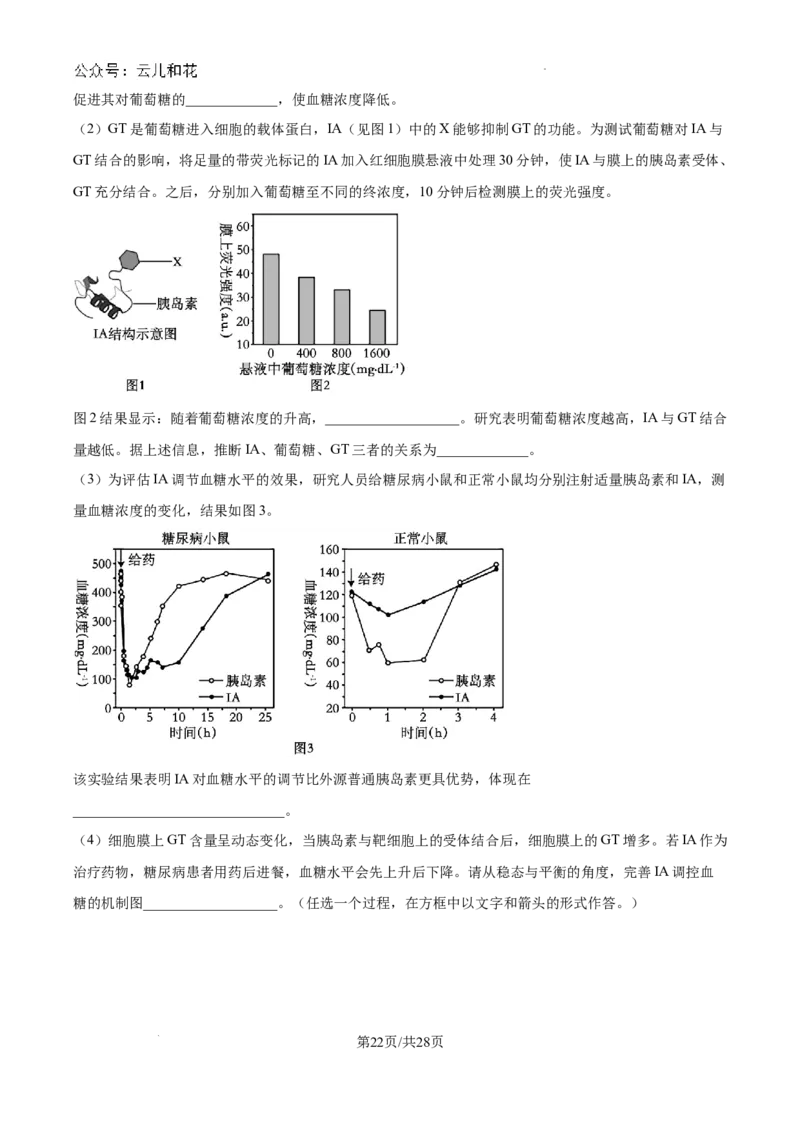 陕西省咸阳市秦都区咸阳市实验中学2024-2025学年高二上学期10月第一次月考生物试题（解析）_2024-2025高二（7-7月题库）_2024年10月试卷