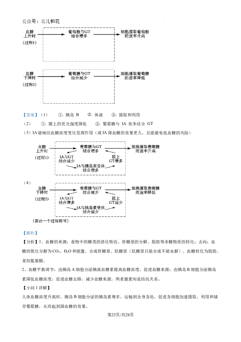 陕西省咸阳市秦都区咸阳市实验中学2024-2025学年高二上学期10月第一次月考生物试题（解析）_2024-2025高二（7-7月题库）_2024年10月试卷