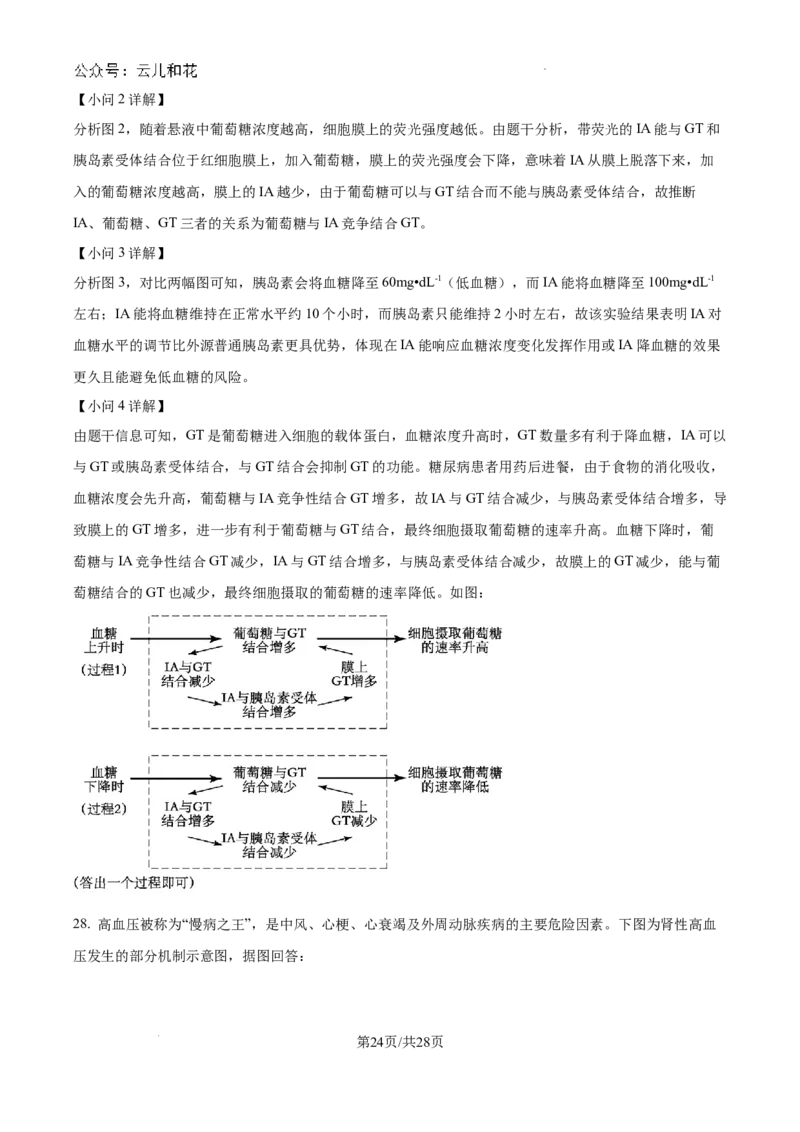陕西省咸阳市秦都区咸阳市实验中学2024-2025学年高二上学期10月第一次月考生物试题（解析）_2024-2025高二（7-7月题库）_2024年10月试卷
