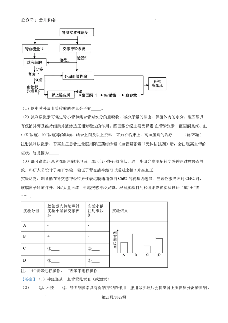 陕西省咸阳市秦都区咸阳市实验中学2024-2025学年高二上学期10月第一次月考生物试题（解析）_2024-2025高二（7-7月题库）_2024年10月试卷