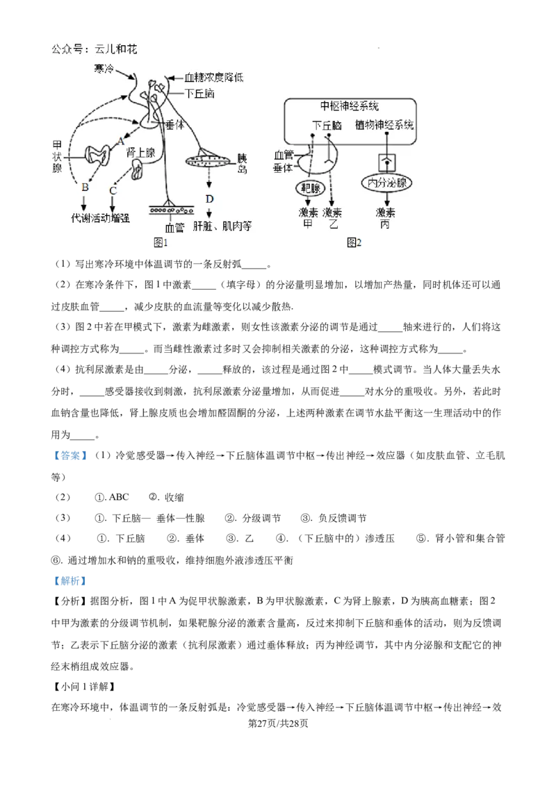 陕西省咸阳市秦都区咸阳市实验中学2024-2025学年高二上学期10月第一次月考生物试题（解析）_2024-2025高二（7-7月题库）_2024年10月试卷