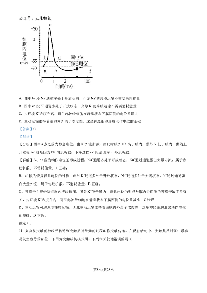 陕西省咸阳市秦都区咸阳市实验中学2024-2025学年高二上学期10月第一次月考生物试题（解析）_2024-2025高二（7-7月题库）_2024年10月试卷