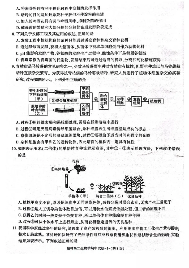 陕西省榆林市2024-2025学年高二下学期4月期中考试生物PDF版含答案_2024-2025高二（7-7月题库）_2025年05月试卷_0504陕西省榆林市2024-2025学年高二下学期4月期中考试
