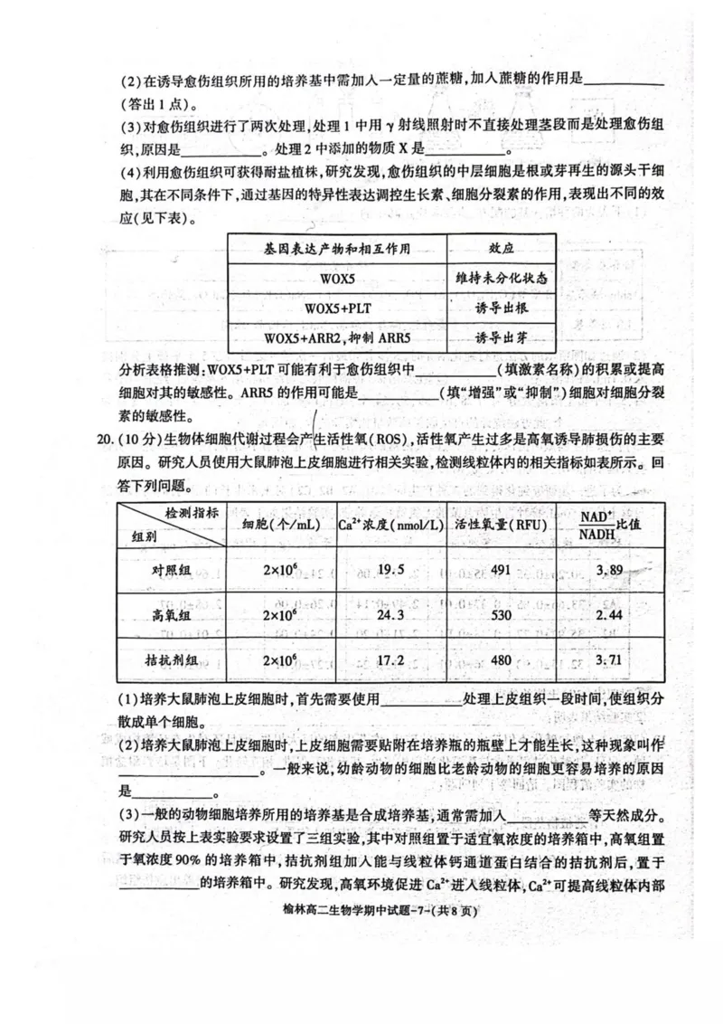 陕西省榆林市2024-2025学年高二下学期4月期中考试生物PDF版含答案_2024-2025高二（7-7月题库）_2025年05月试卷_0504陕西省榆林市2024-2025学年高二下学期4月期中考试