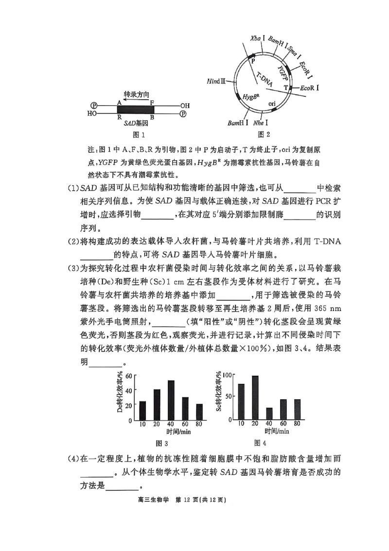 辽宁点石联考2025届高三5月份联合考试-生物试卷_2024-2025高三（6-6月题库）_2025年05月试卷_0509辽宁点石联考2025届高三5月份联合考试（全科）_辽宁点石联考2025届高三5月份联合考试-生物