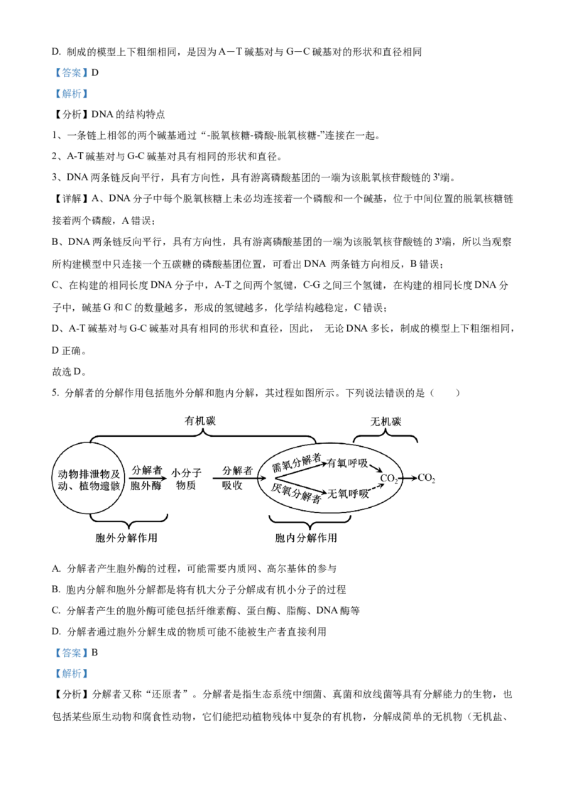 湖北省武汉外国语学校2025届高三上学期10月考试生物试题Word版含解析_2024-2025高三（6-6月题库）_2024年10月试卷_1019湖北省武汉外国语学校2025届高三上学期10月月考