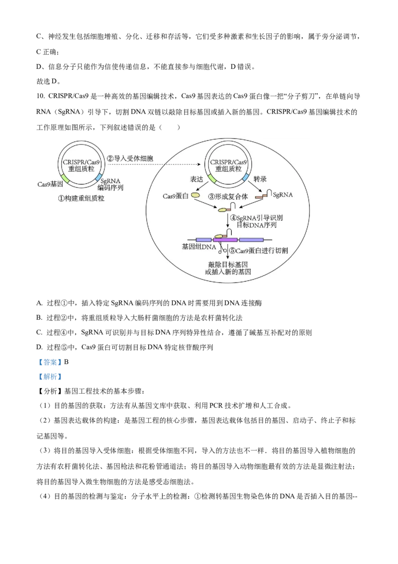 湖北省武汉外国语学校2025届高三上学期10月考试生物试题Word版含解析_2024-2025高三（6-6月题库）_2024年10月试卷_1019湖北省武汉外国语学校2025届高三上学期10月月考