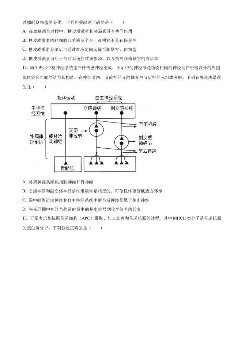 湖北省武汉外国语学校2023-2024学年高二下学期期末考试生物试卷Word版无答案_2024-2026高三（6-6月题库）_2024年07月试卷_240717湖北省武汉外国语学校2023-2024学年高二下学期期末考试