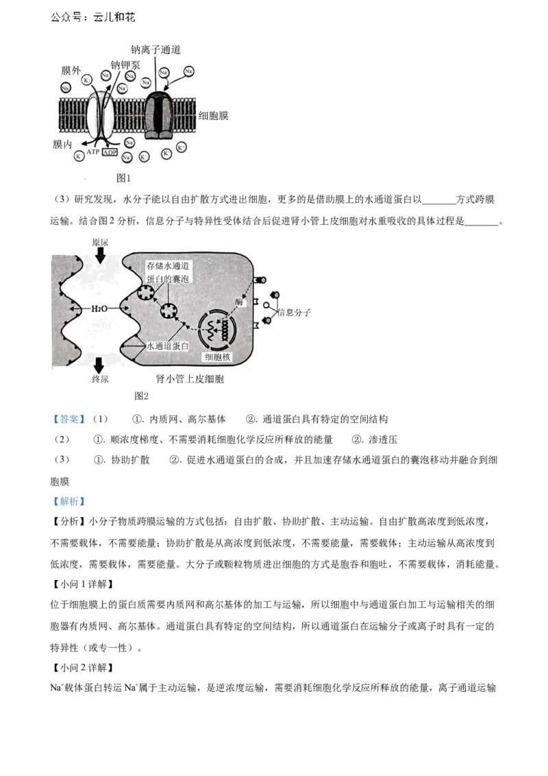 福建省南平市2023-2024学年高二下学期期末考试生物Word版含解析_2024年07月试卷_0726福建省南平市2023-2024学年高二下学期期末考试