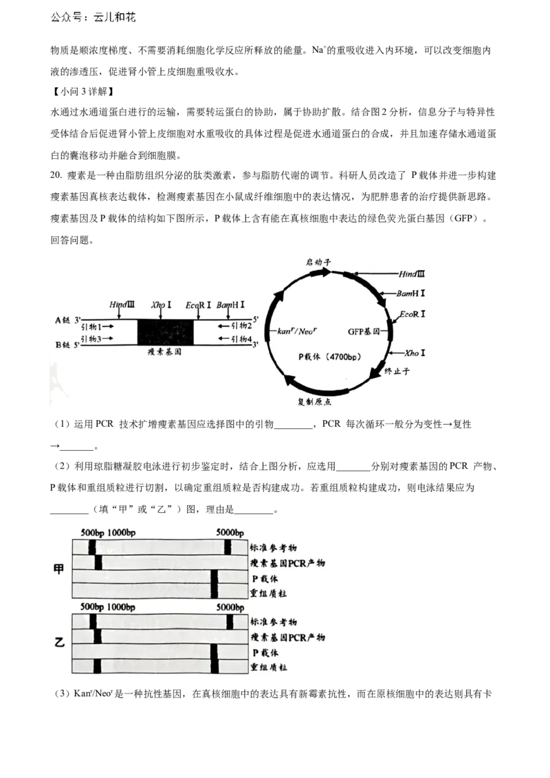 福建省南平市2023-2024学年高二下学期期末考试生物Word版含解析_2024年07月试卷_0726福建省南平市2023-2024学年高二下学期期末考试