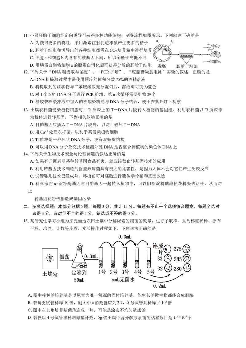 高二生物期中调研试卷2025.04_2024-2025高二（7-7月题库）_2025年05月试卷_0518江苏省扬州市邗江区2024-2025学年高二下学期期中考试