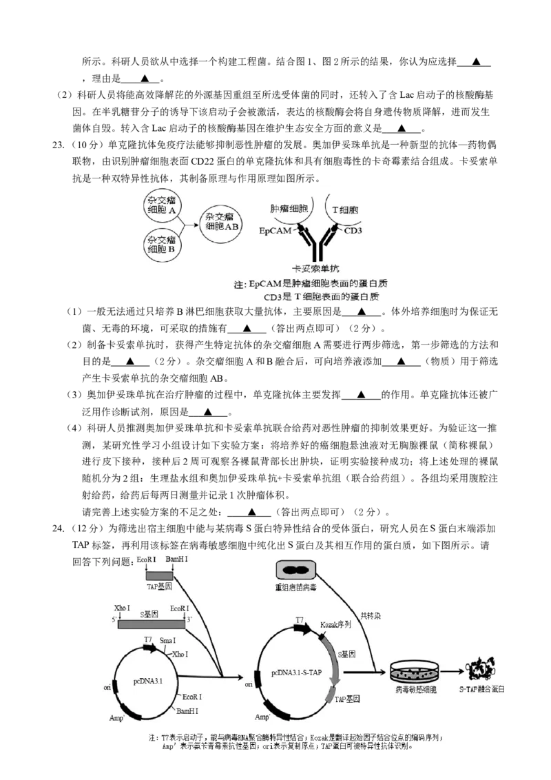 高二生物期中调研试卷2025.04_2024-2025高二（7-7月题库）_2025年05月试卷_0518江苏省扬州市邗江区2024-2025学年高二下学期期中考试