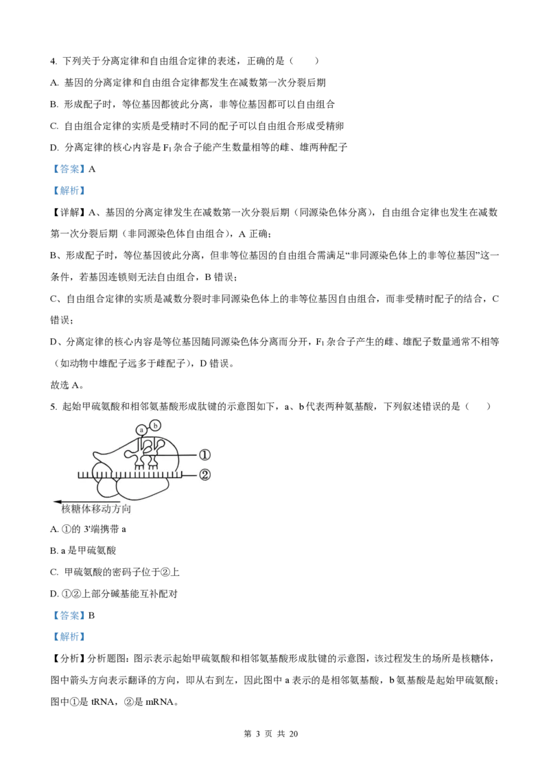 生物-湖南长郡中学2026届高三上学期月考（一）_2024-2026高三（6-6月题库）_2025年08月试卷_250819湖南长沙长郡中学2026届高三上学期开学考（一）全科