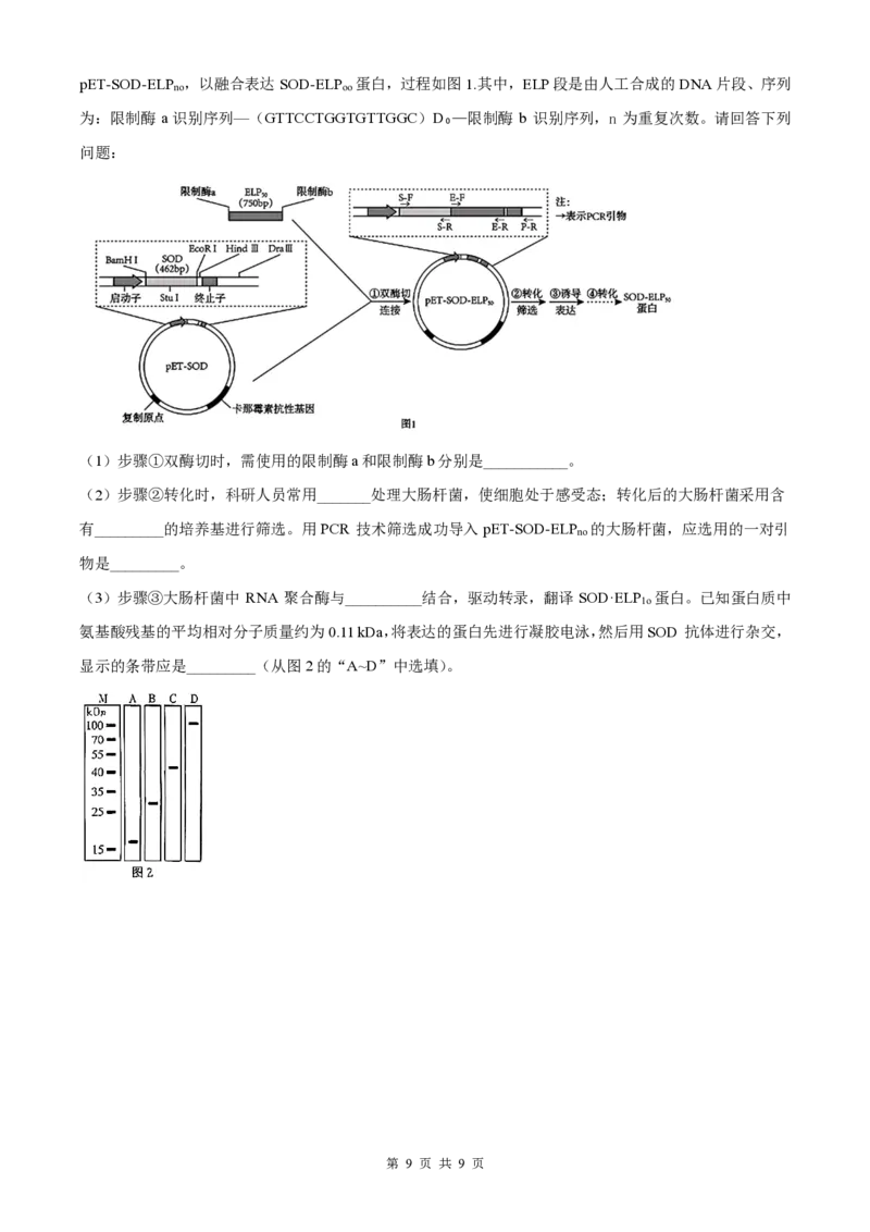 生物-湖南长郡中学2026届高三上学期月考（一）_2024-2026高三（6-6月题库）_2025年08月试卷_250819湖南长沙长郡中学2026届高三上学期开学考（一）全科