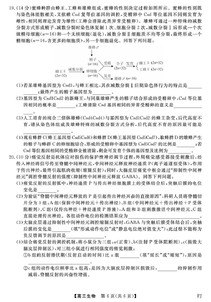 福建省百校2026届高三上学期12月联合测评生物_2024-2026高三（6-6月题库）_2025年12月高三试卷_251229福建省百校2026届高三上学期12月联合测评（全）