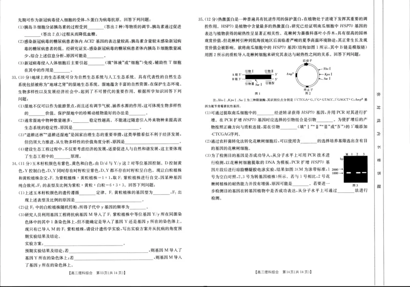 高三三模理综卷_2024年4月_01按日期_26号_2024届河南省新乡市高三下学期三模考试_2024届河南省新乡市高三第三次模拟考试-理综