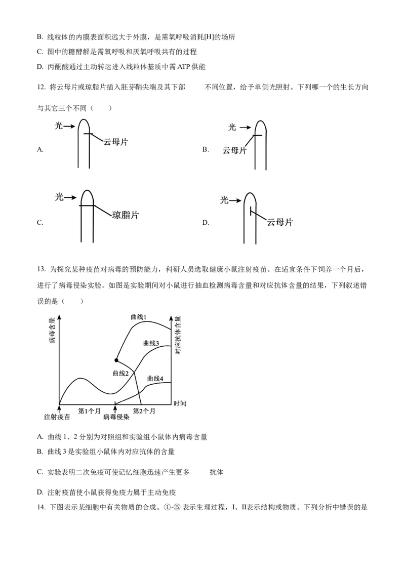 浙江省杭州地区（含周边）重点中学2025-2026学年高二上学期11月期中生物试题Word版无答案_251206浙江省杭州市地区(含周边)重点中学2025学年第一学期高二年级期中考试（全）