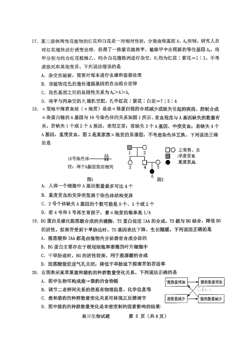 2025&mdash;2026学年度第一学期期末学业质量水平诊断生物+答案_2024-2026高三（6-6月题库）_2026年01月高三试卷_0122山东省烟台市2025&mdash;2026学年度第一学期期末学业质量水平诊断（全）