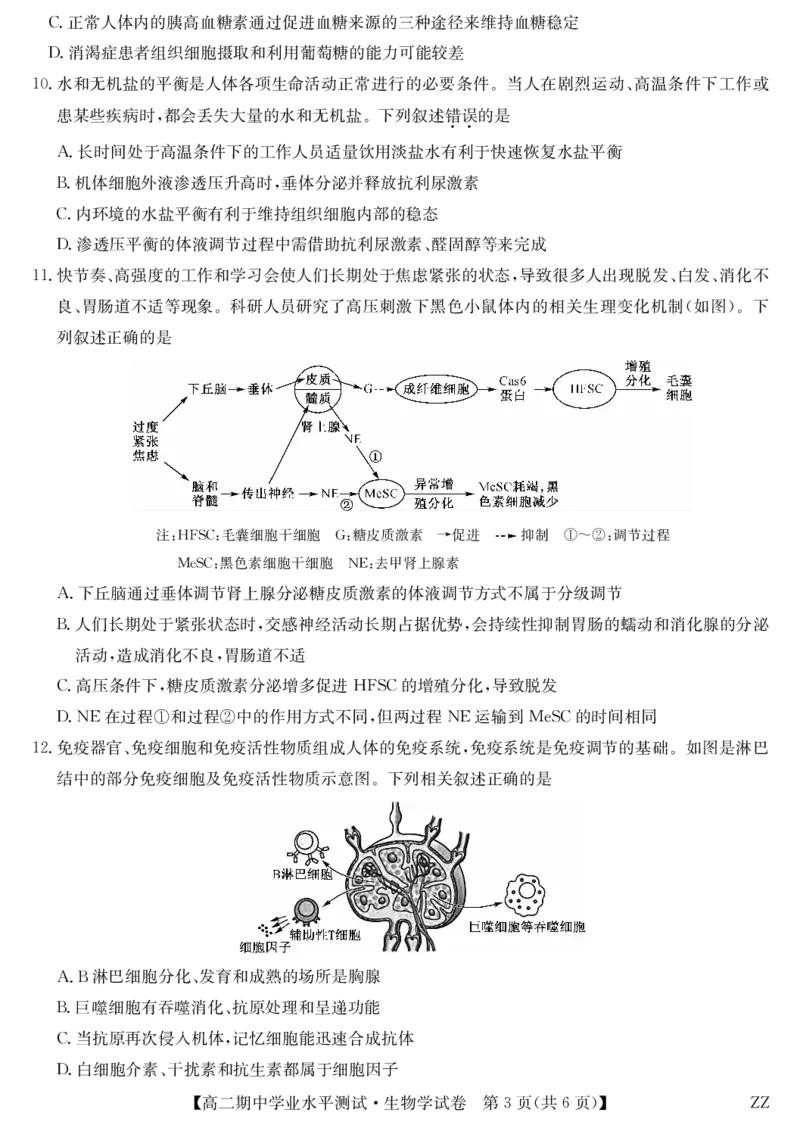 生物-河南郑州八校高二期中考_2025年11月高二试卷_251125河南省郑州市八校联盟2025-2026学年高二上学期11月期中考试（全）