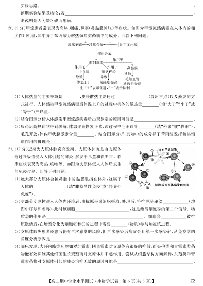 生物-河南郑州八校高二期中考_2025年11月高二试卷_251125河南省郑州市八校联盟2025-2026学年高二上学期11月期中考试（全）