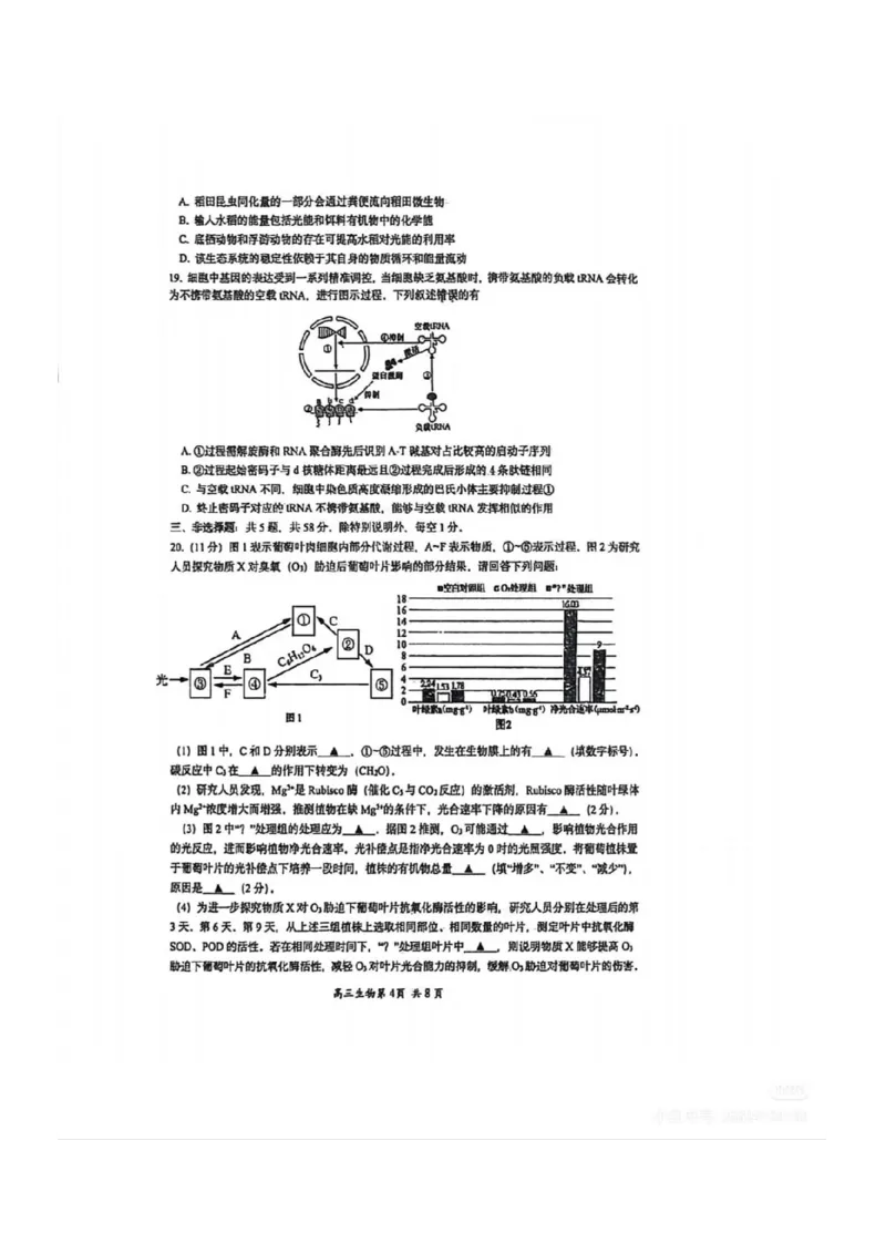 生物答案-江苏省苏州市九校2026届高三南京一轮复习学情联合调研(12.24-12.25)_2024-2026高三（6-6月题库）_2025年12月高三试卷_251230江苏省苏州市九校2026届高三南京一轮复习学情联合调研