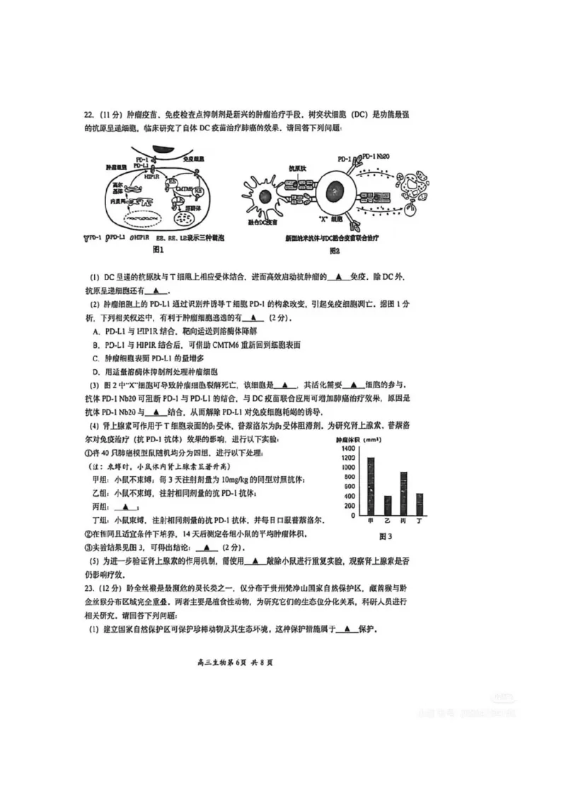 生物答案-江苏省苏州市九校2026届高三南京一轮复习学情联合调研(12.24-12.25)_2024-2026高三（6-6月题库）_2025年12月高三试卷_251230江苏省苏州市九校2026届高三南京一轮复习学情联合调研