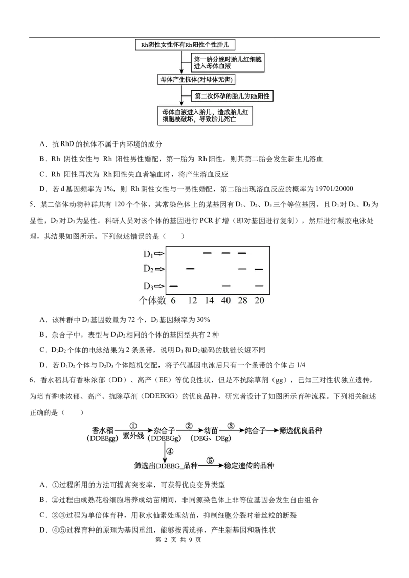 生物_2025年10月高二试卷_251029重庆市渝西中学2025-2026学年高二上学期10月月考_重庆市渝西中学2025-2026学年高二上学期10月月考生物试题（含答案）