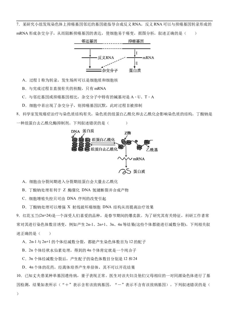生物_2025年10月高二试卷_251029重庆市渝西中学2025-2026学年高二上学期10月月考_重庆市渝西中学2025-2026学年高二上学期10月月考生物试题（含答案）