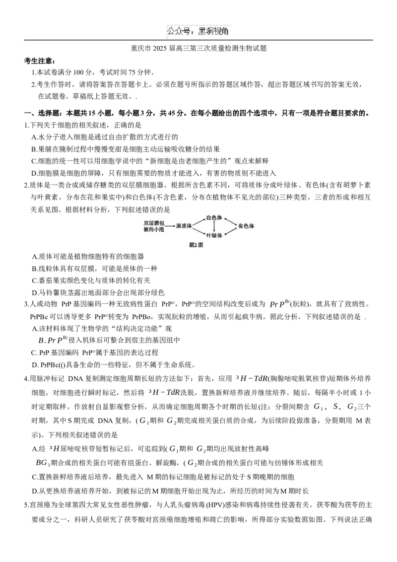 重庆市2025届高三第三次质量检测生物试题（含解析）_2024-2025高三（6-6月题库）_2024年11月试卷_1111重庆南开中学高2025届高三第三次质量检测