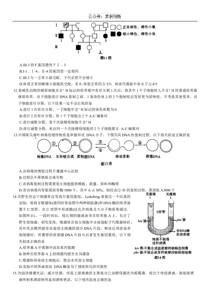 重庆市2025届高三第三次质量检测生物试题（含解析）_2024-2025高三（6-6月题库）_2024年11月试卷_1111重庆南开中学高2025届高三第三次质量检测