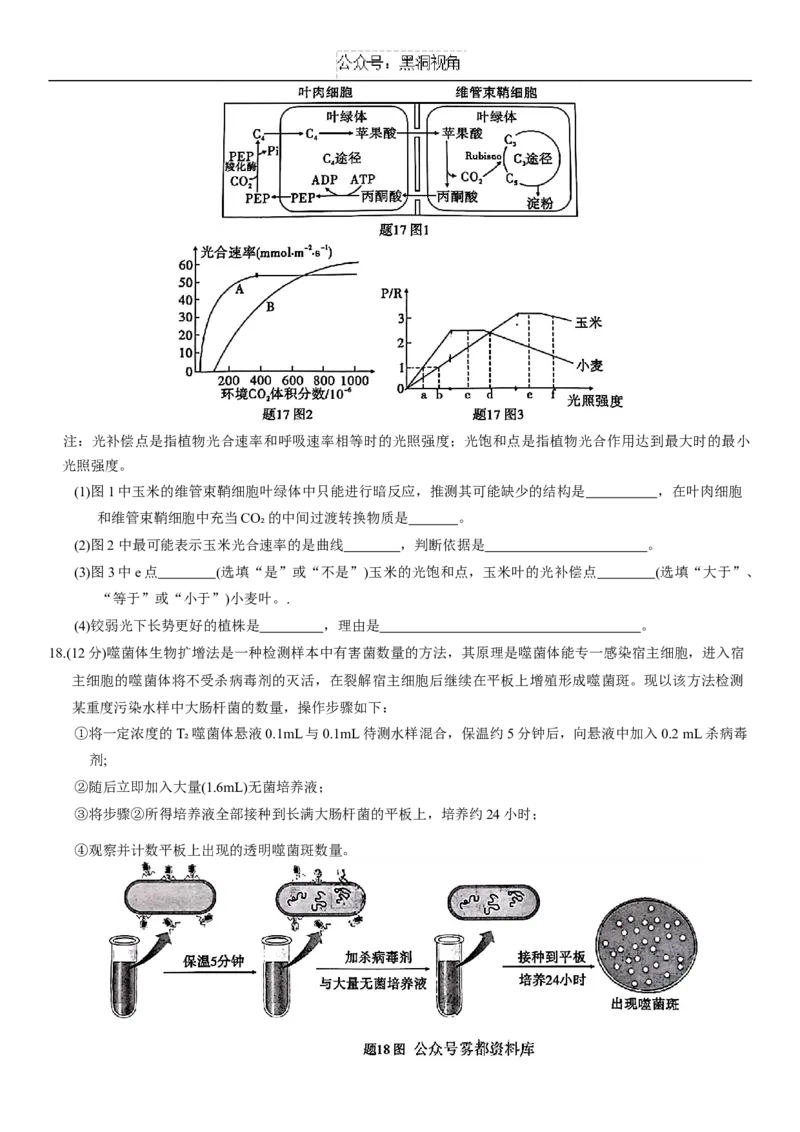 重庆市2025届高三第三次质量检测生物试题（含解析）_2024-2025高三（6-6月题库）_2024年11月试卷_1111重庆南开中学高2025届高三第三次质量检测