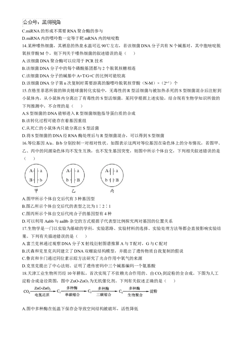 黑龙江省齐齐哈尔市2024-2025学年高三上学期10月月考生物试题_2024-2025高三（6-6月题库）_2024年10月试卷_1014黑龙江省哈尔滨市第三中学校2024-2025学年高三上学期10月月考
