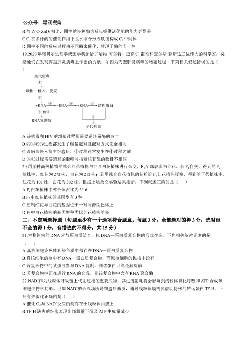 黑龙江省齐齐哈尔市2024-2025学年高三上学期10月月考生物试题_2024-2025高三（6-6月题库）_2024年10月试卷_1014黑龙江省哈尔滨市第三中学校2024-2025学年高三上学期10月月考