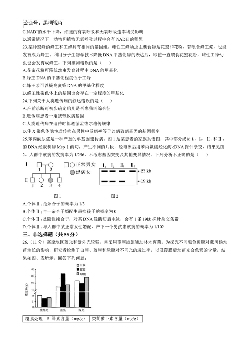 黑龙江省齐齐哈尔市2024-2025学年高三上学期10月月考生物试题_2024-2025高三（6-6月题库）_2024年10月试卷_1014黑龙江省哈尔滨市第三中学校2024-2025学年高三上学期10月月考